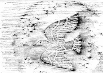 "God Speed Little Bird" by Connie Pike, Monona WI - Linocut 